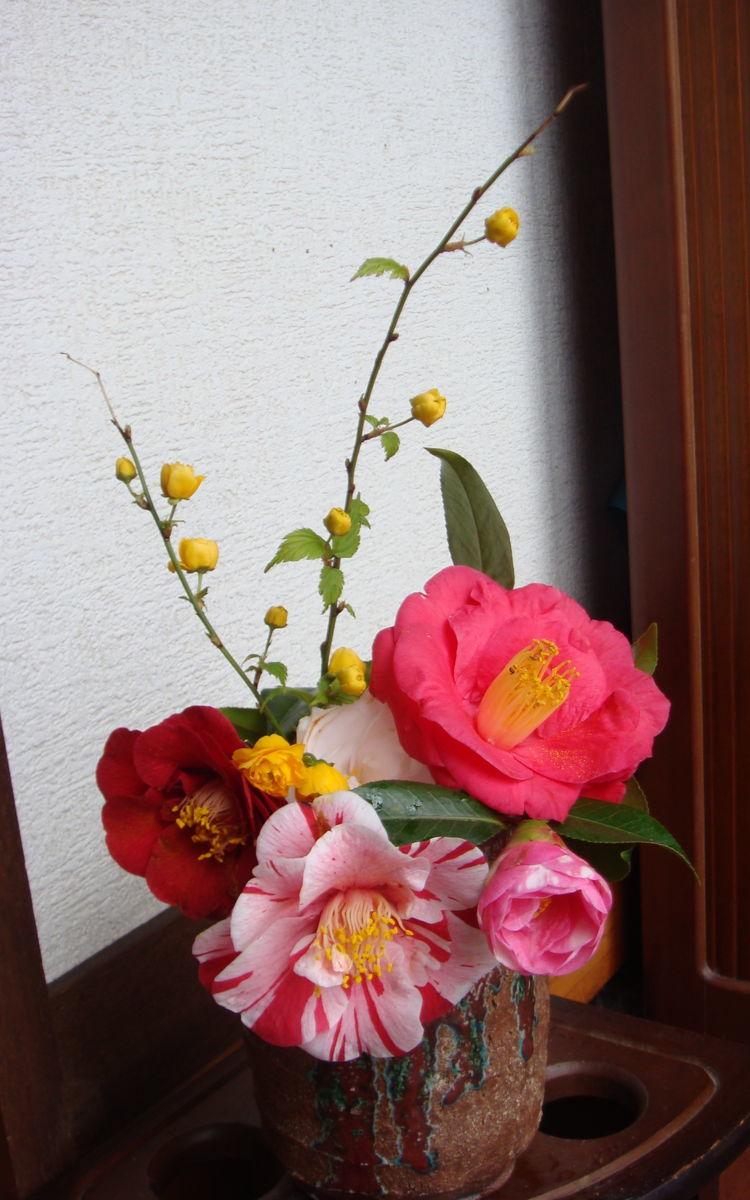 f:id:hohoan:20220410081609j:plain