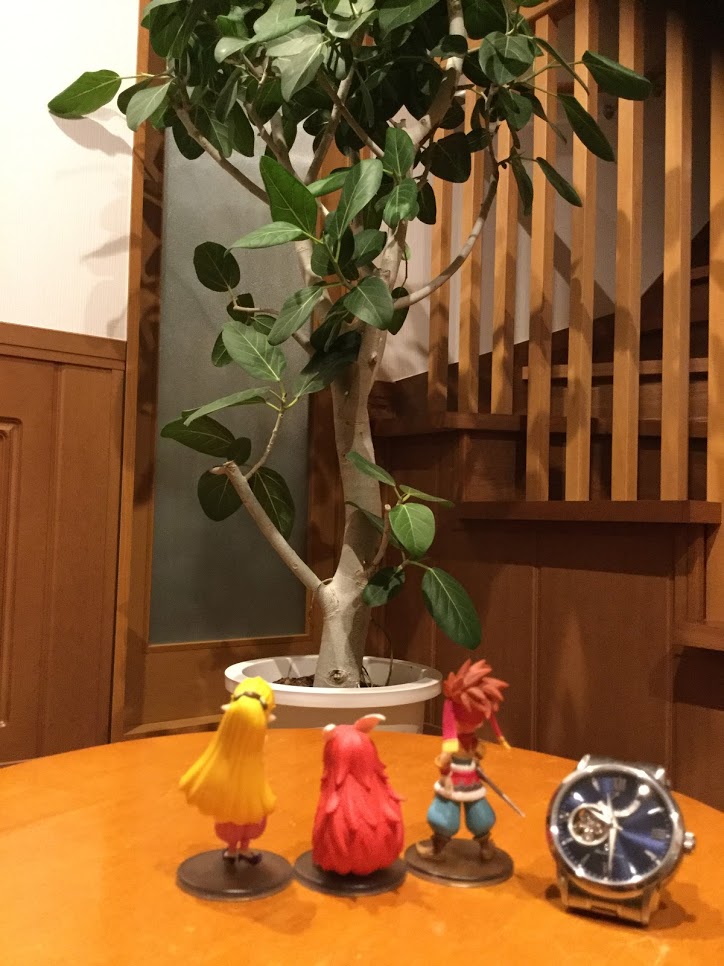 f:id:hohoimen:20190610211156j:plain