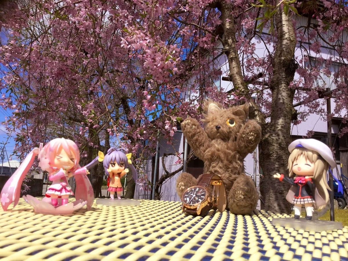 f:id:hohoimen:20190620065445j:plain