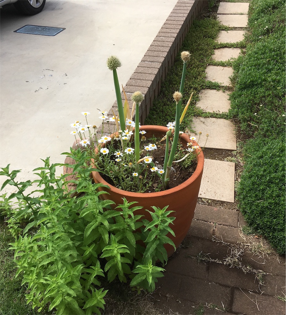 f:id:hohon77:20200520013914j:image