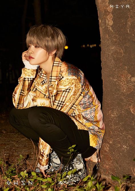 f:id:hoidara:20181229225519j:plain f:id:hoidara:20181229225519j:plain