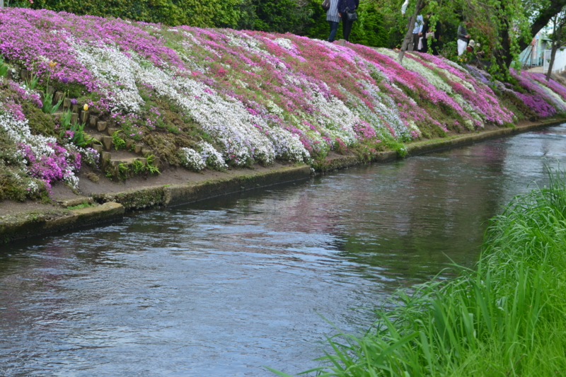 f:id:hoihoi1956:20120428113143j:image:w360:left