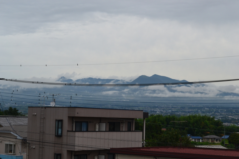 f:id:hoihoi1956:20120814094131j:image:w360:left