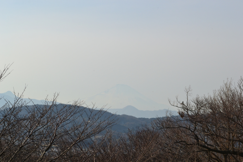 f:id:hoihoi1956:20130113150258j:image:w360:left