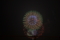 20130801193424