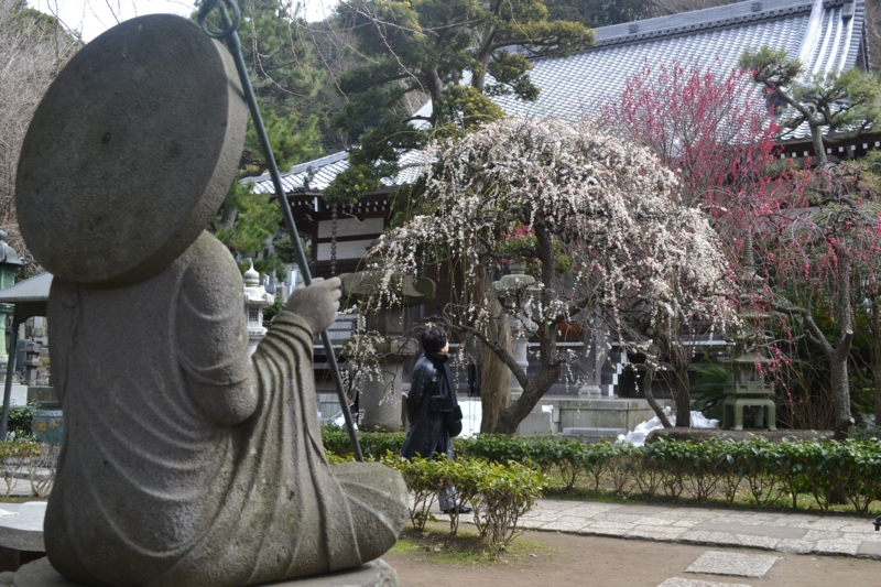 f:id:hoihoi1956:20140228214905j:image:w360