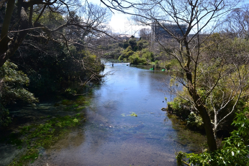 f:id:hoihoi1956:20140323085540j:image:w360