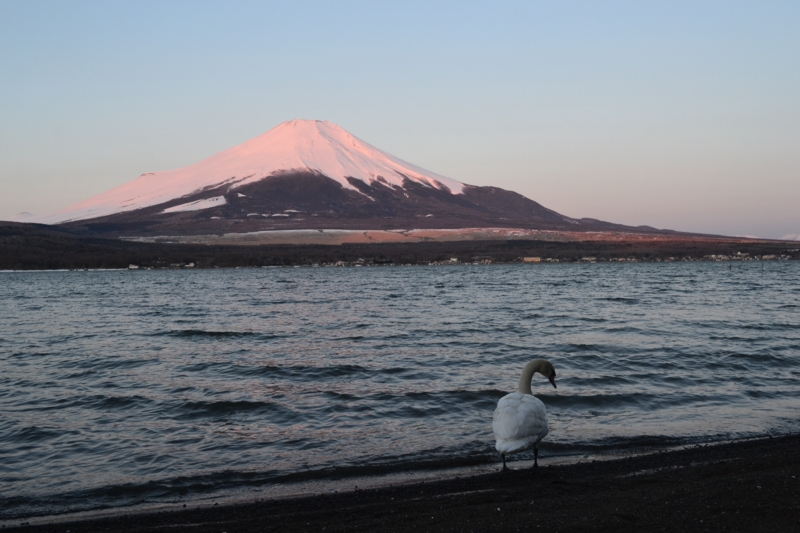 f:id:hoihoi1956:20140323091848j:image:w360