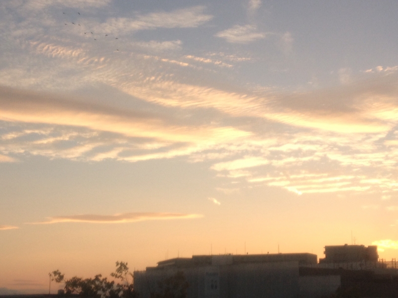 f:id:hoihoi1956:20141026055607j:image:w360
