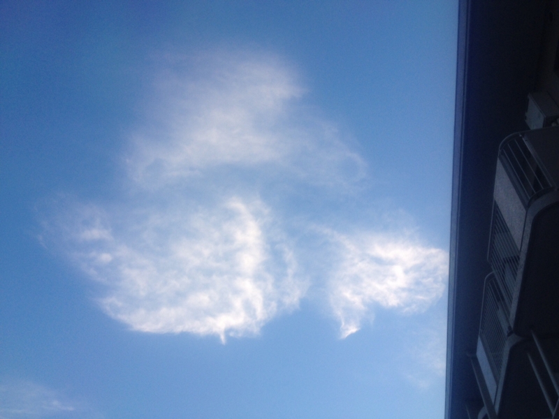 f:id:hoihoi1956:20141026055844j:image:w360