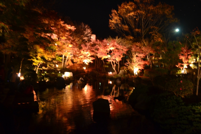 f:id:hoihoi1956:20141201215144j:image:w360