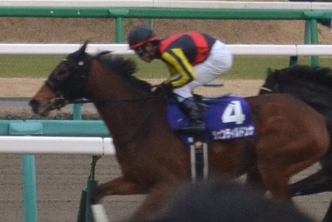 f:id:hoihoi1956:20141229023807j:image:w360 f:id:hoihoi1956:20141229023807j:image:w360