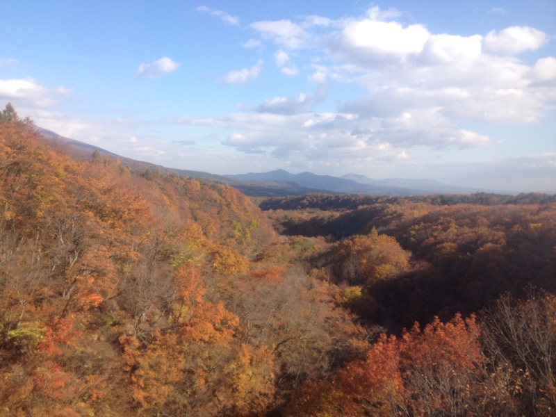 f:id:hoihoi1956:20161103051221j:image:w360
