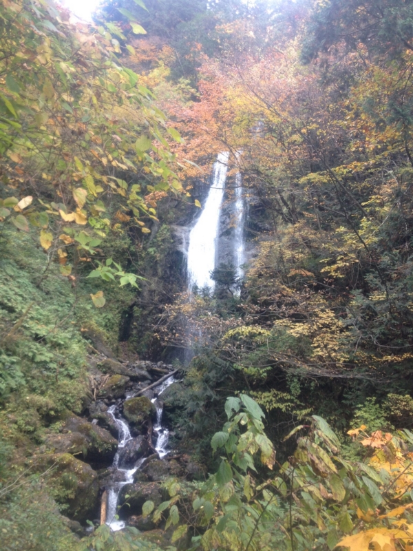 f:id:hoihoi1956:20161103051358j:image:w360