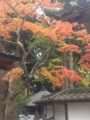 20161103051730