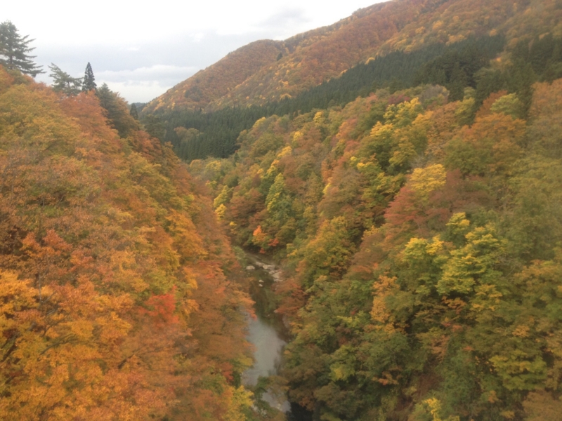 f:id:hoihoi1956:20161103051837j:image:w360