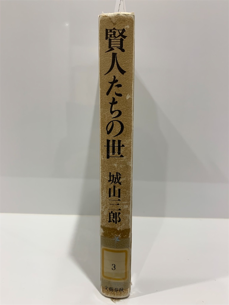 f:id:hoihoi1956:20250529050847j:image