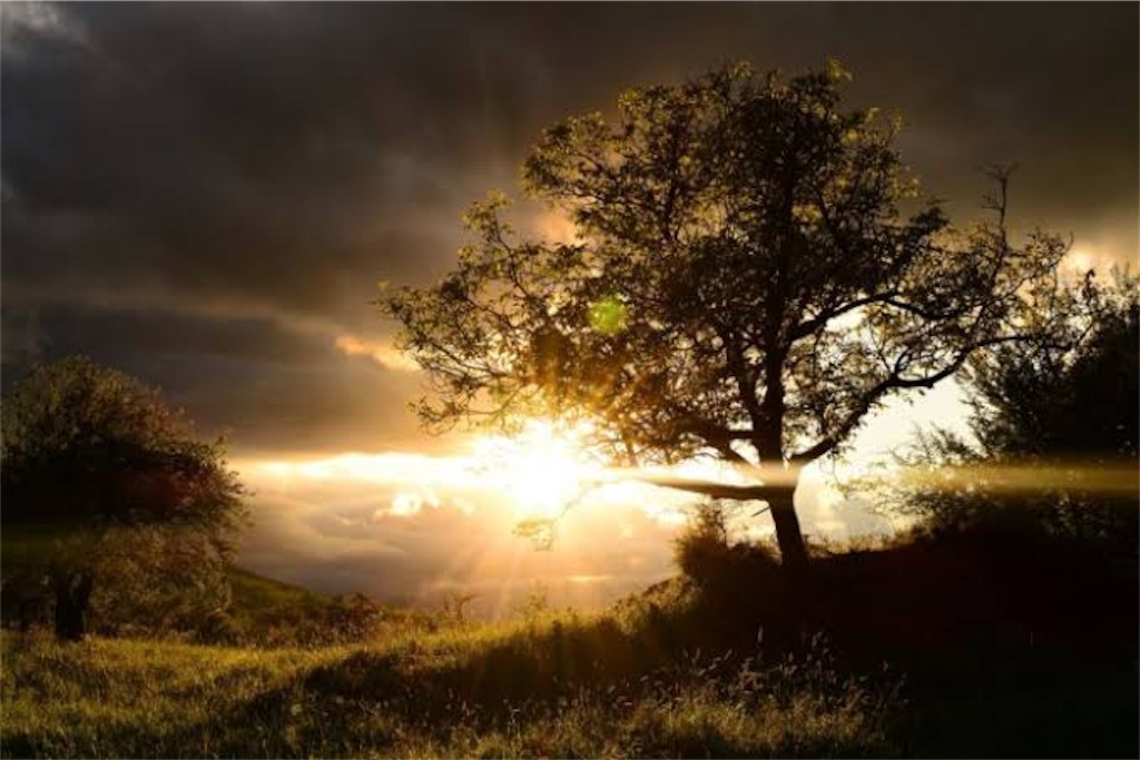 f:id:hoikpianofiveminutes:20201204185255j:image