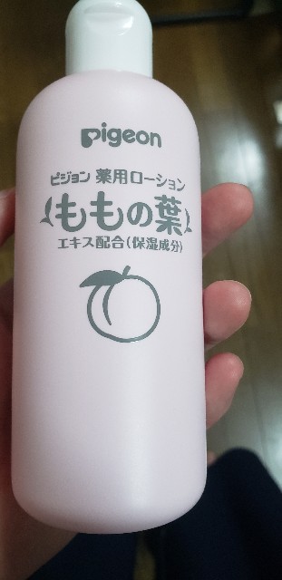 f:id:hoikushimamasan:20210914150933j:image