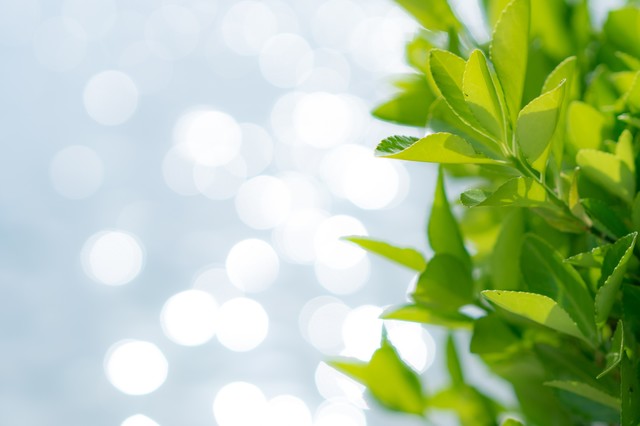 f:id:hoikusi-mama:20190528095419j:plain