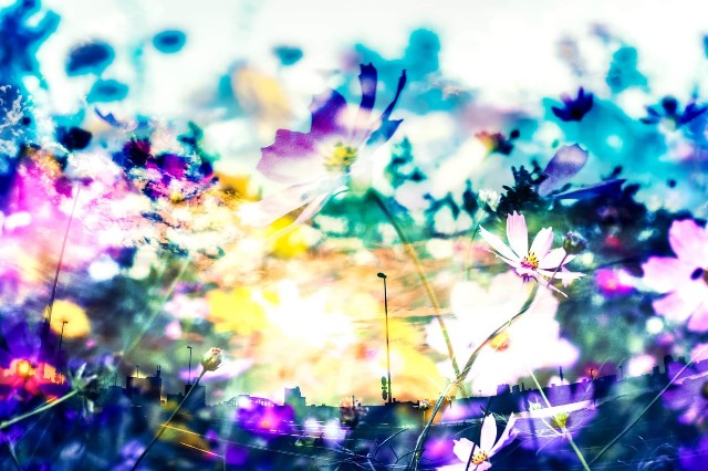 f:id:hoikusi-mama:20210603063543j:image f:id:hoikusi-mama:20210603063543j:image