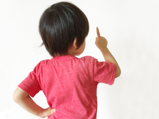 f:id:hoikuyamanaka:20180730182012j:plain f:id:hoikuyamanaka:20180730182012j:plain