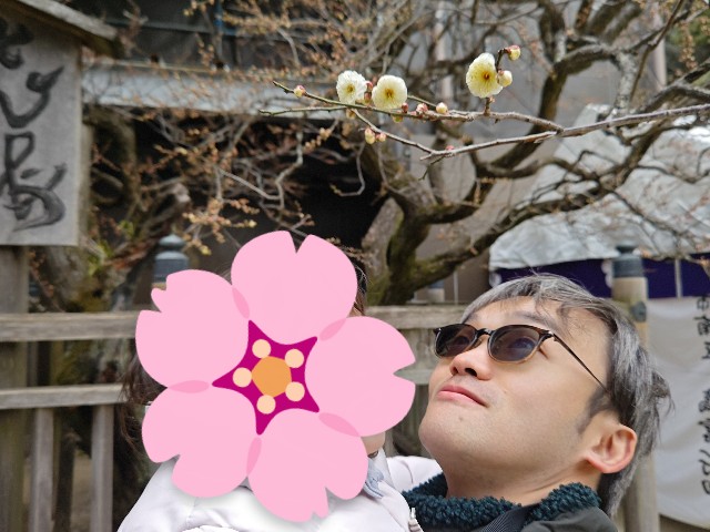 f:id:hoimicle:20250302003946j:image