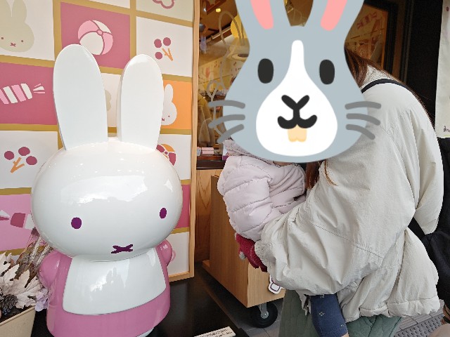 f:id:hoimicle:20250302004209j:image