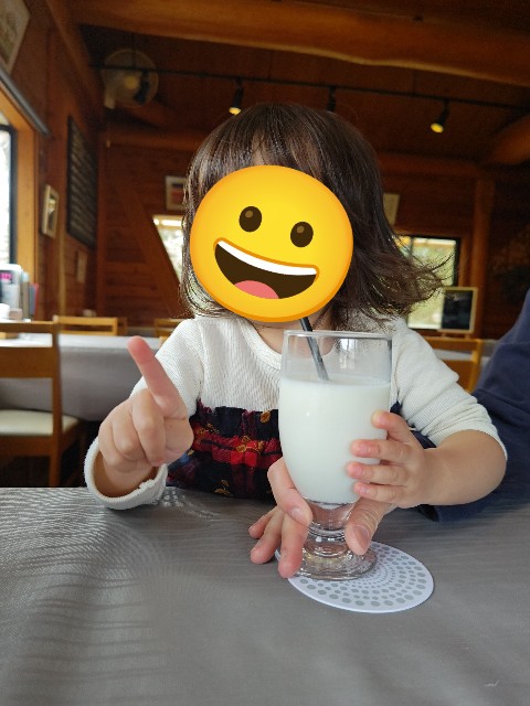 f:id:hoimicle:20250319161213j:image