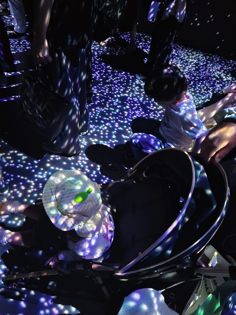 f:id:hoimicle:20250503022229j:image