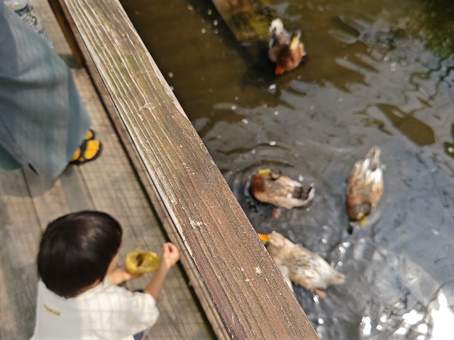 f:id:hoimicle:20250908111050j:image