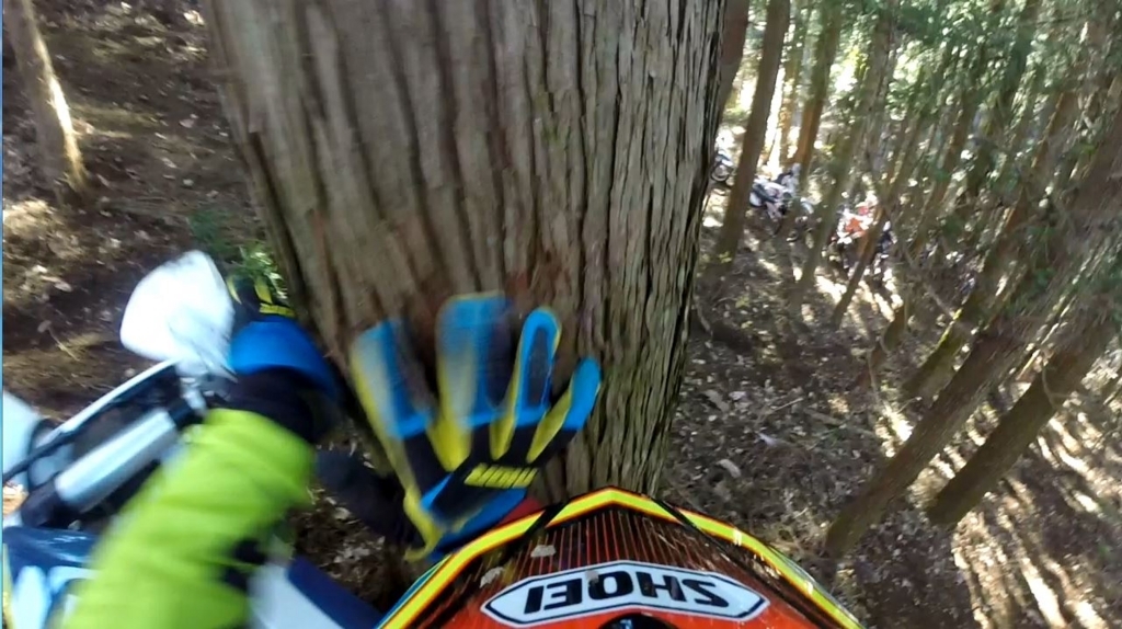 f:id:hoitya:20171215211233j:plain