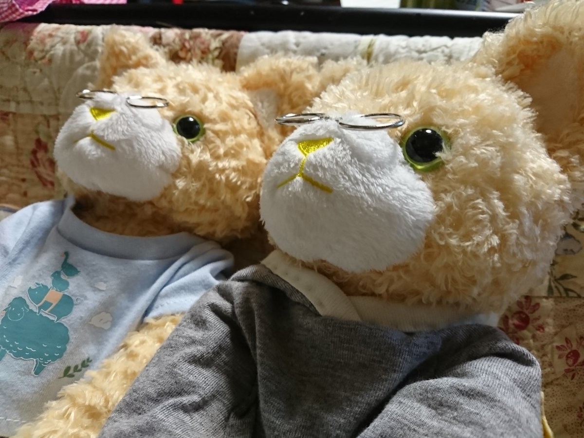 f:id:hoji:20190331120436j:plain f:id:hoji:20190331120436j:plain