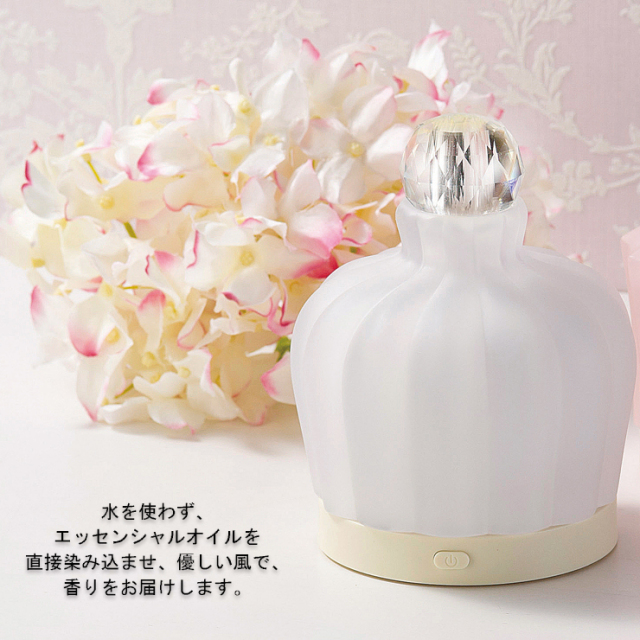 f:id:hojicha85:20181210213753j:plain f:id:hojicha85:20181210213753j:plain