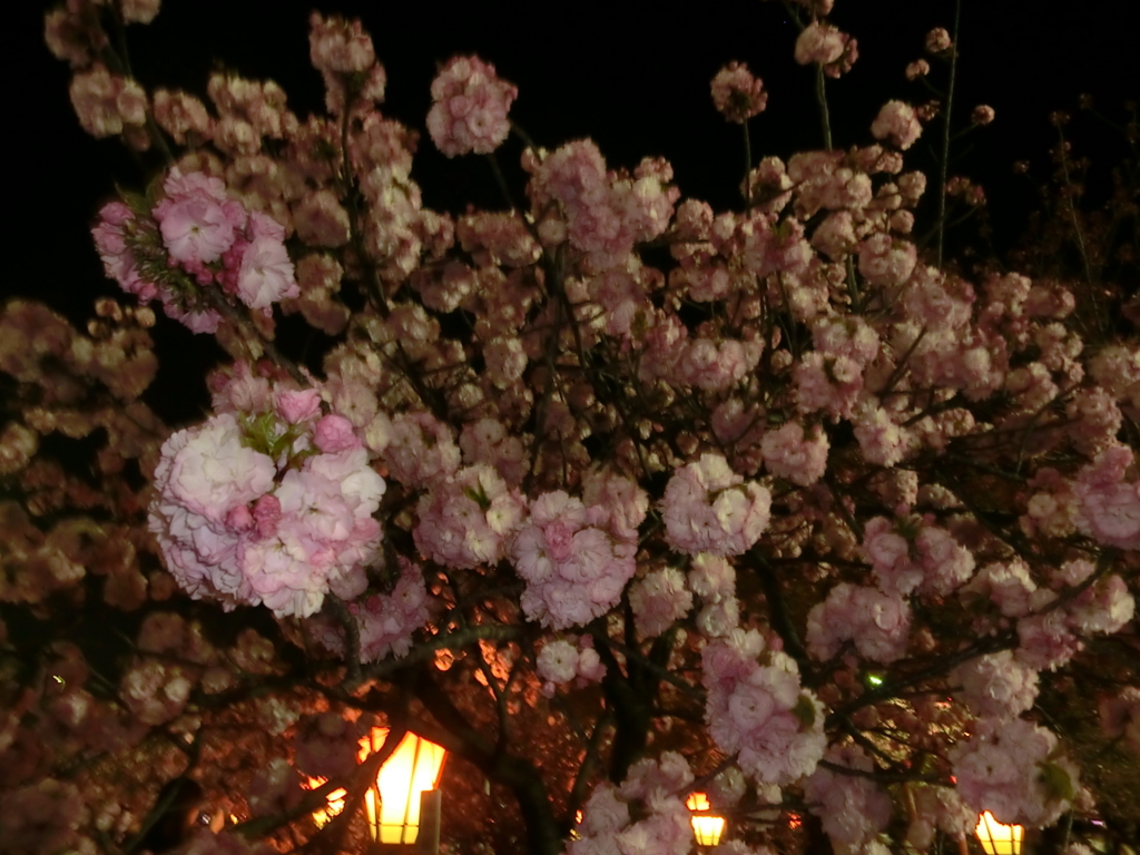 f:id:hojojuku:20170430095933j:plain