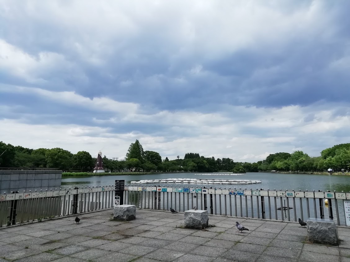 f:id:hokabeng:20200620223341j:plain f:id:hokabeng:20200620223341j:plain
