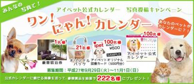 アイペットが公式カレンダーに掲載する犬や猫の写真を募集 保険市場times アイペットが公式カレンダーに掲載する犬や猫の写真を募集 保険市場times