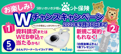 Sbiいきいき少短 プレゼントキャンペーン実施中 保険市場times