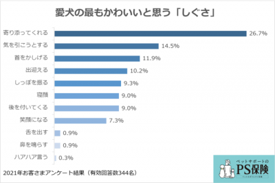 ペットメディカルサポート 愛犬のかわいらしさに関するアンケート調査 結果を発表 保険市場times