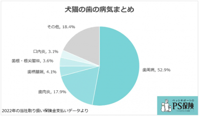 Ps保険 ペットのかかりやすい歯の病気ランキング22年を発表 保険市場times