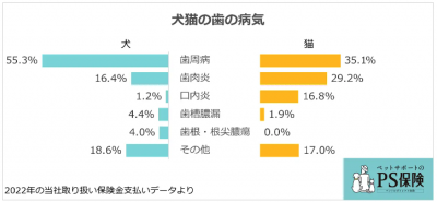 Ps保険 ペットのかかりやすい歯の病気ランキング22年を発表 保険市場times