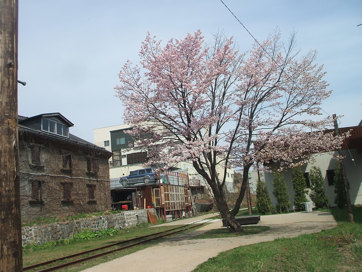 f:id:hoki2500:20190507214234j:plain