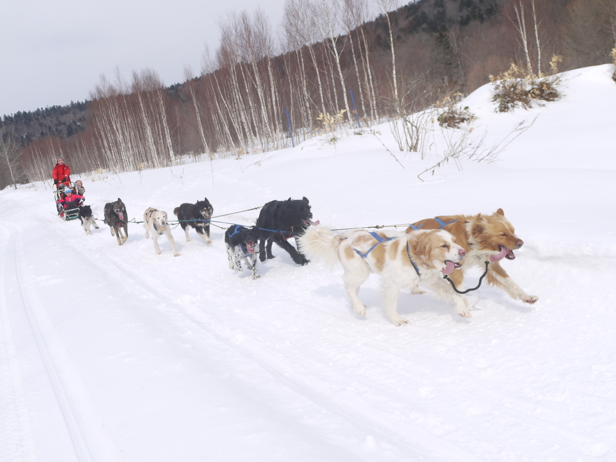 f:id:hokkaido-adventures:20190402061013j:plain f:id:hokkaido-adventures:20190402061013j:plain