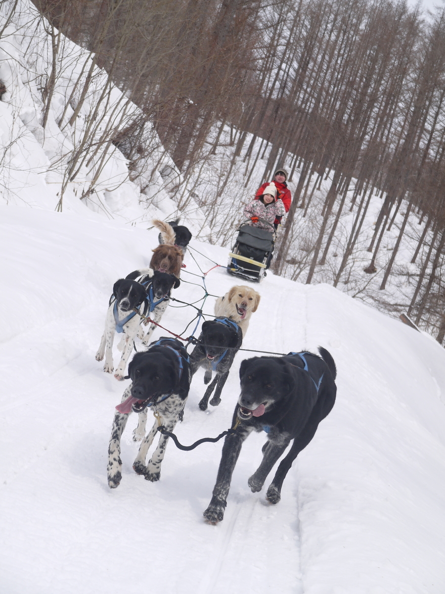 f:id:hokkaido-adventures:20190402061146j:plain f:id:hokkaido-adventures:20190402061146j:plain