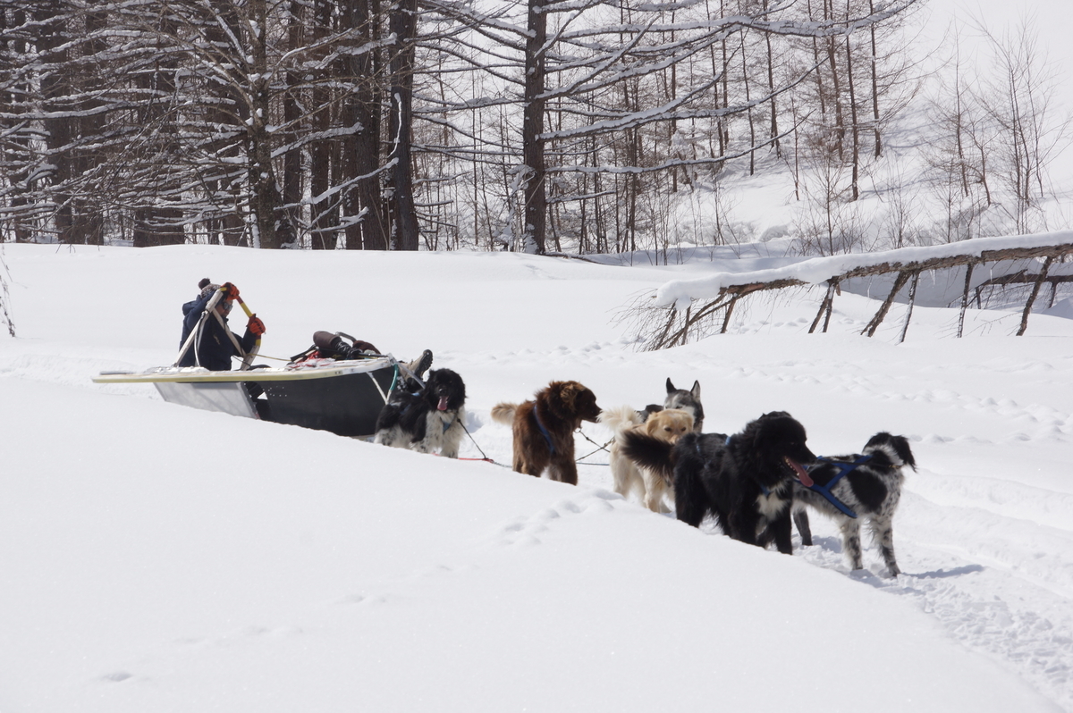 f:id:hokkaido-adventures:20190402061323j:plain f:id:hokkaido-adventures:20190402061323j:plain