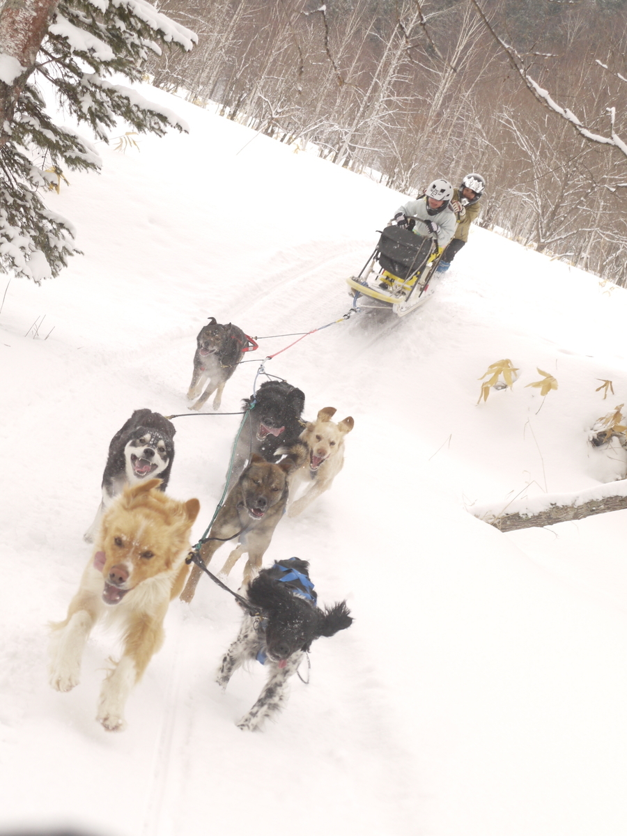 f:id:hokkaido-adventures:20190402061711j:plain f:id:hokkaido-adventures:20190402061711j:plain