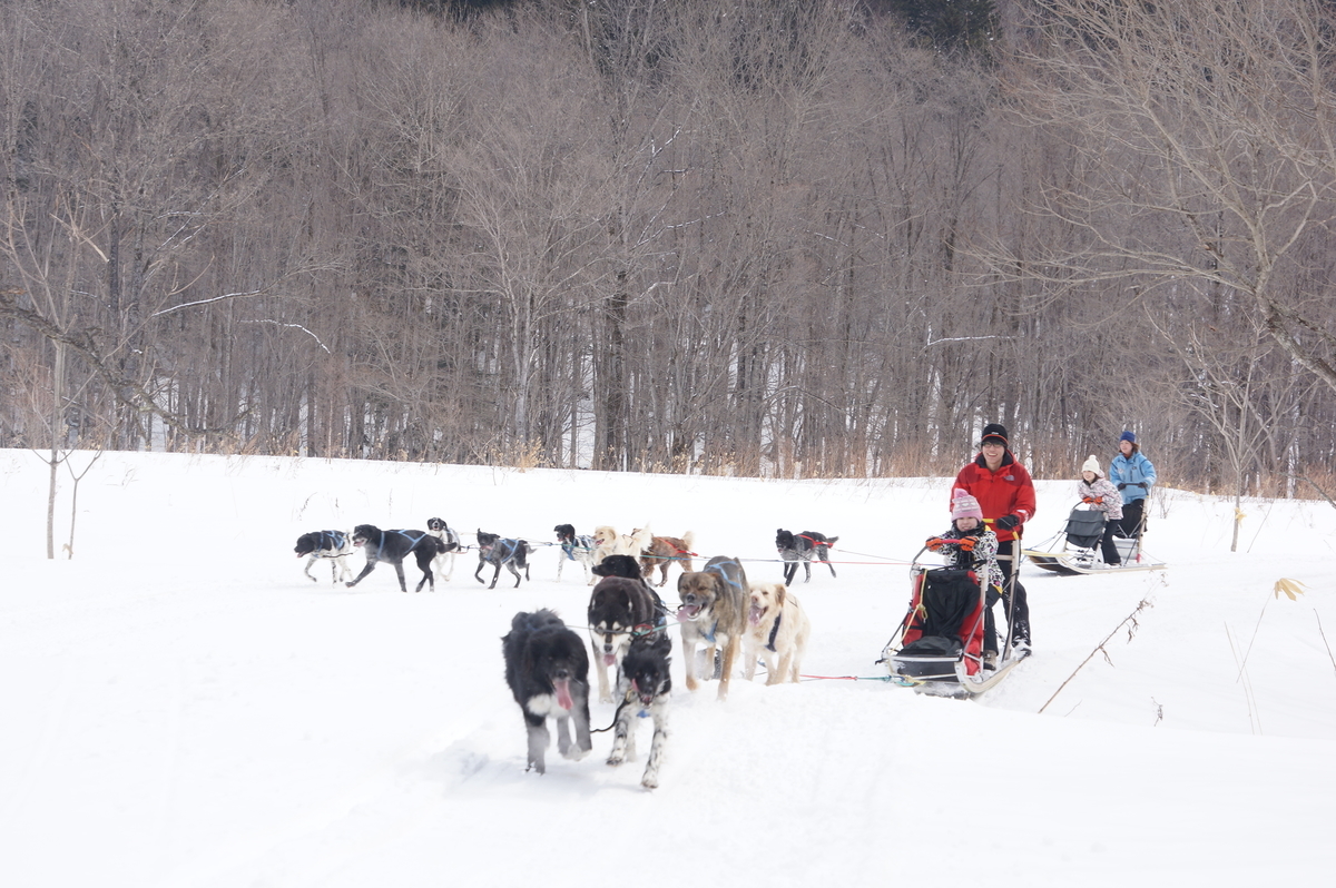 f:id:hokkaido-adventures:20190402061931j:plain f:id:hokkaido-adventures:20190402061931j:plain