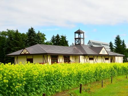 f:id:hokkaido_plus1:20200627012846j:plain f:id:hokkaido_plus1:20200627012846j:plain