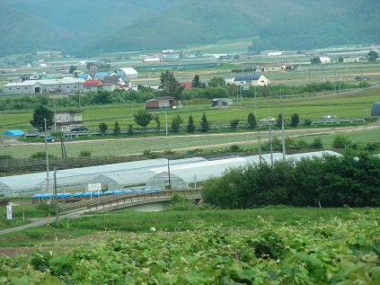 f:id:hokkaido_syndrome:20200705115125j:plain f:id:hokkaido_syndrome:20200705115125j:plain