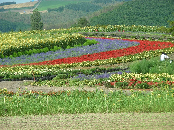 f:id:hokkaido_syndrome:20200705142802j:plain f:id:hokkaido_syndrome:20200705142802j:plain